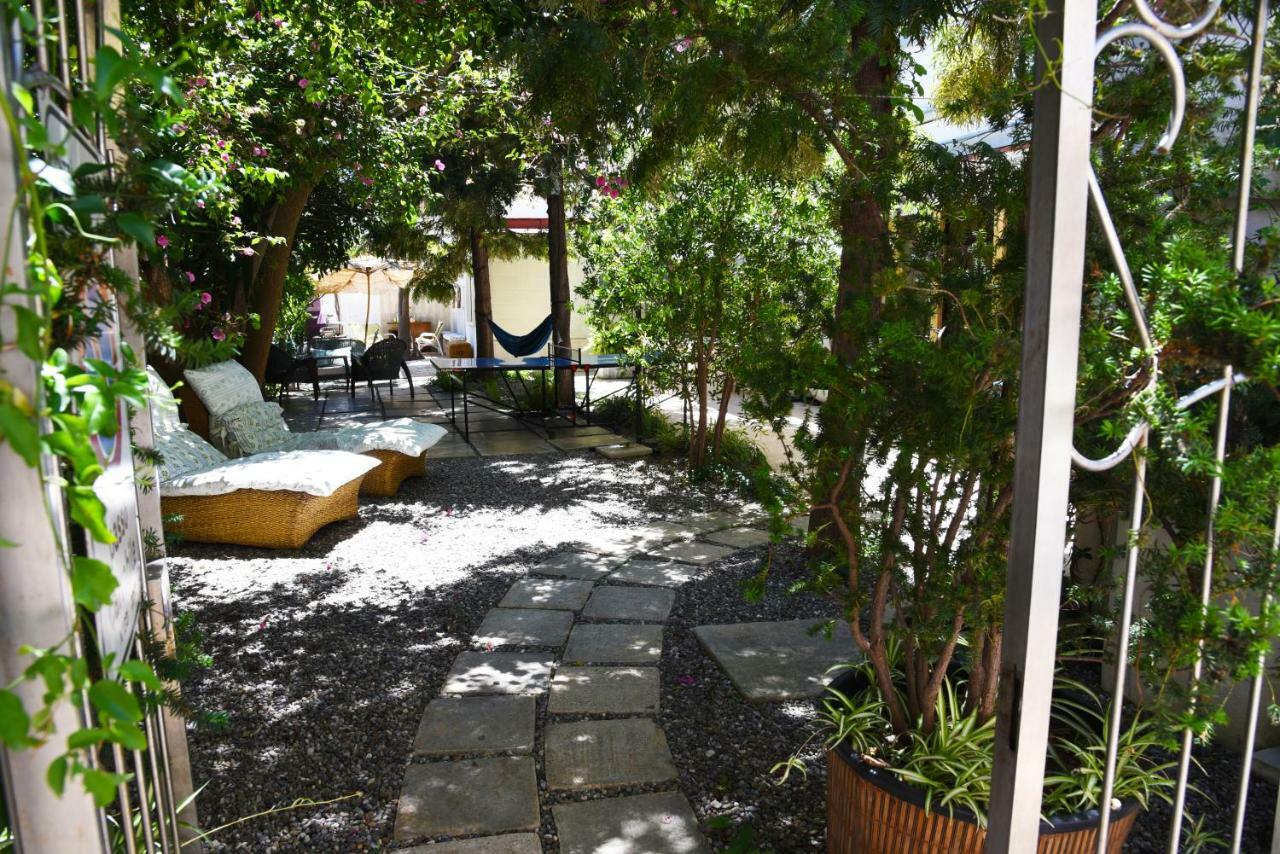 B&B Al Vecchio Glicine Torre Canne Exterior photo